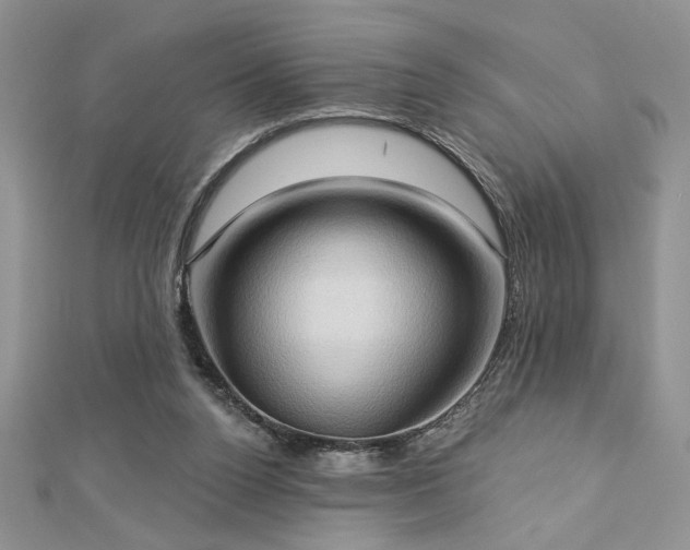 X0000113130160200909041154