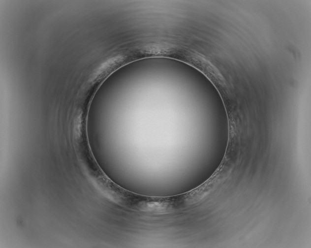 X0000113130163200909041154