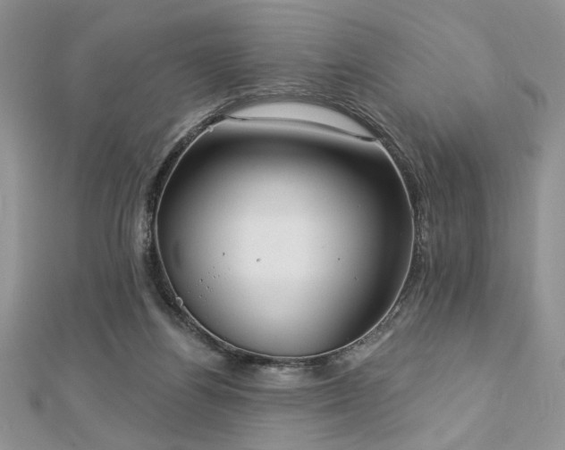 X0000113130164200909041154