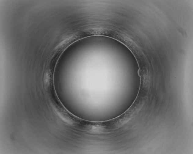 X0000113130165200909041154
