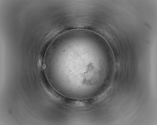 X0000113130166200909041154