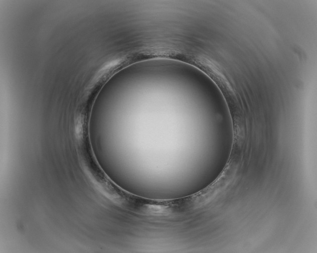 X0000113130167200909041154