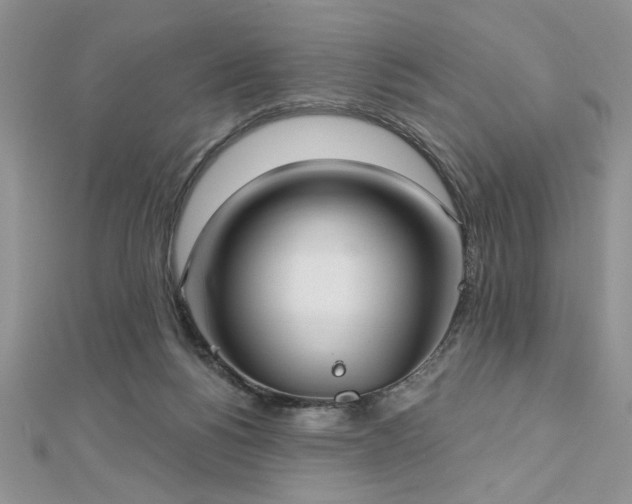 X0000113130168200909041154