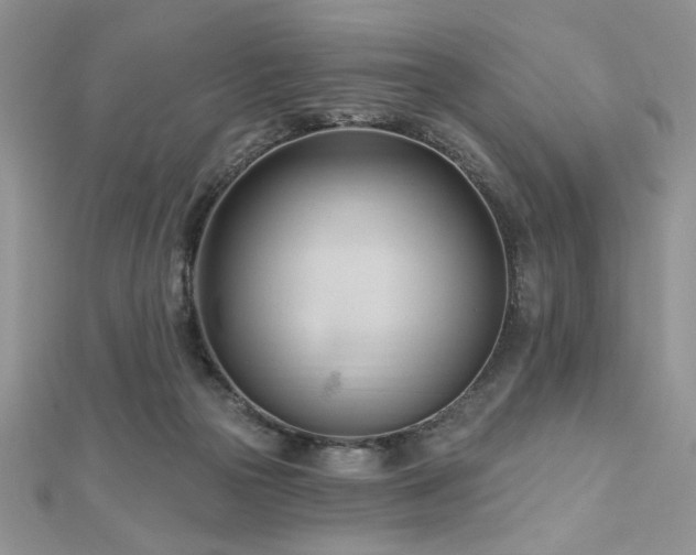 X0000113130169200909041154