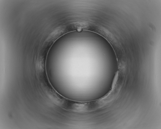 X0000113130170200909041154