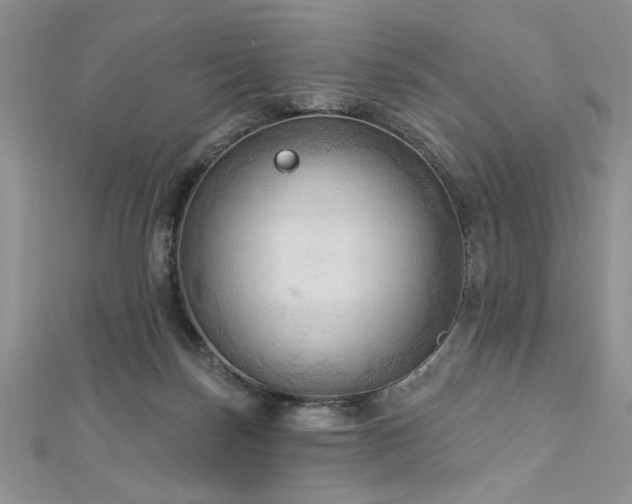 X0000113130171200909041154