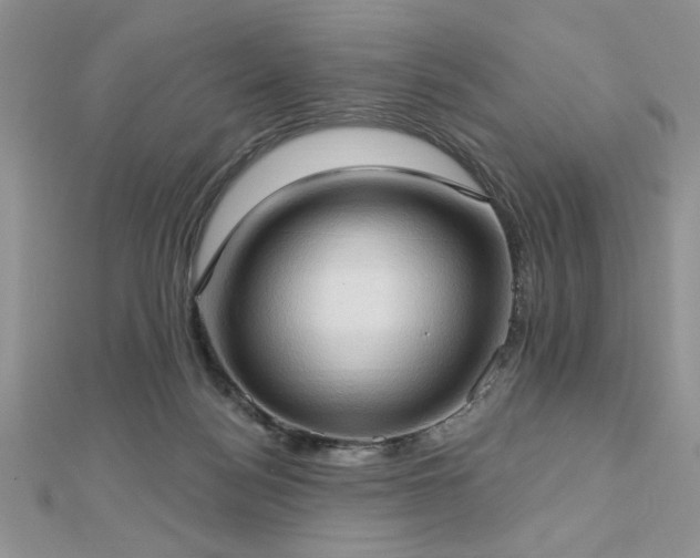 X0000113130172200909041154