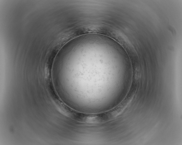 X0000113130173200909041154