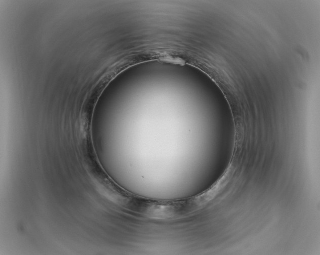 X0000113130174200909041154