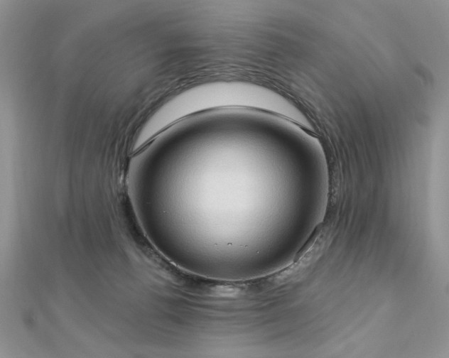 X0000113130176200909041155