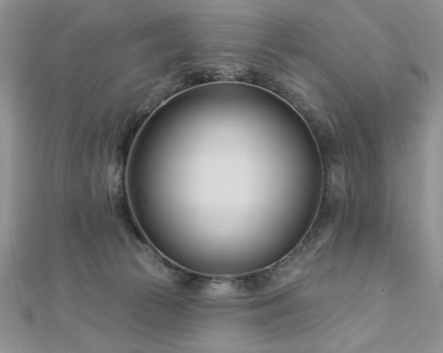 X0000113130177200909041155
