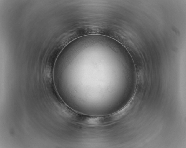 X0000113130178200909041155