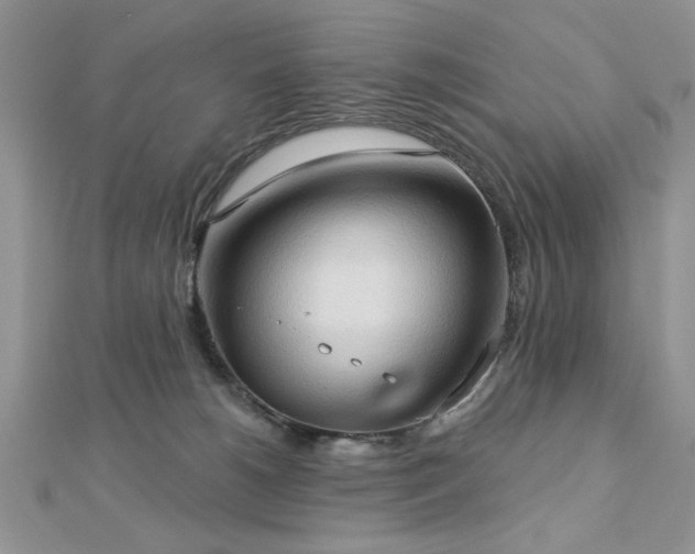 X0000113130180200909041155