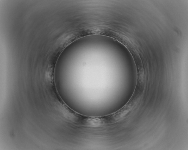 X0000113130181200909041155