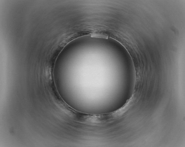 X0000113130182200909041155