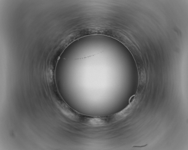 X0000113130183200909041155