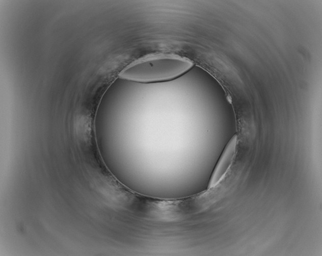 X0000113130184200909041155