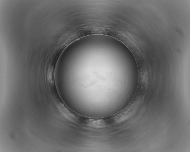 X0000113130185200909041155