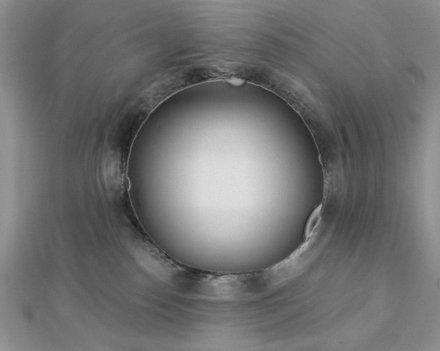 X0000113130186200909041155