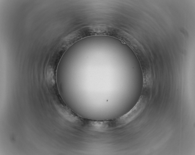 X0000113130187200909041155