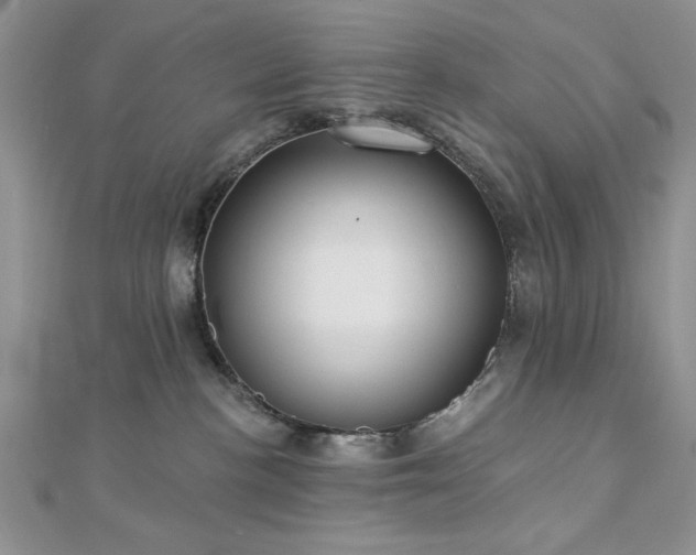 X0000113130188200909041155