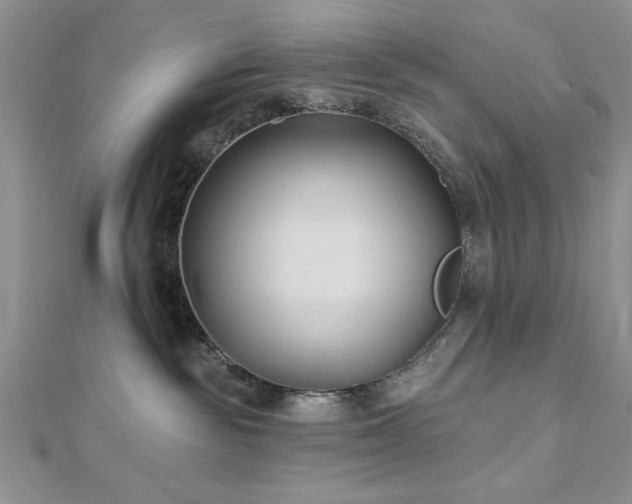 X0000113130189200909041155