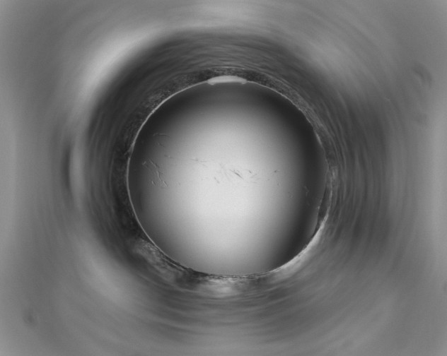 X0000113130190200909041155