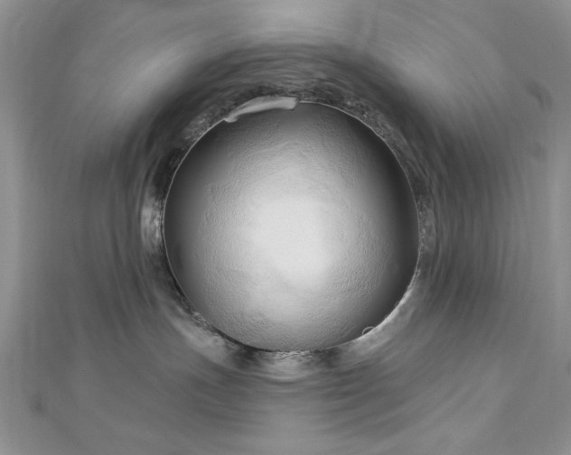 X0000113130191200909041155