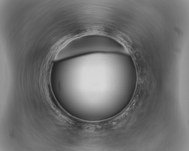 X0000113130193200909041154