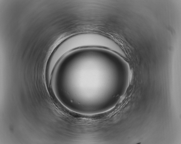 X0000113130195200909041154