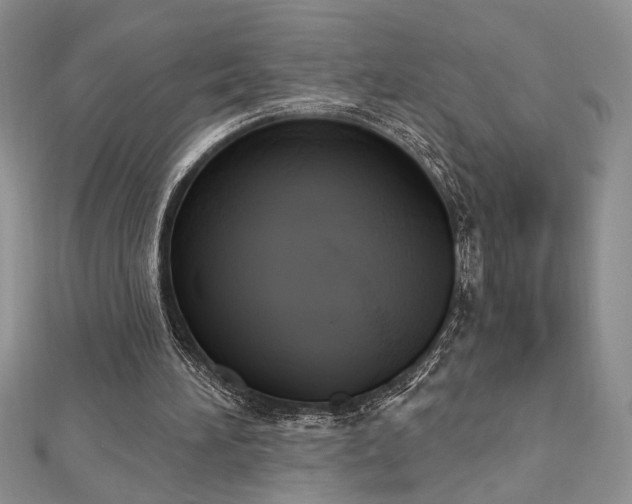 X0000113130196200909041154