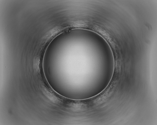 X0000113130201200909041154