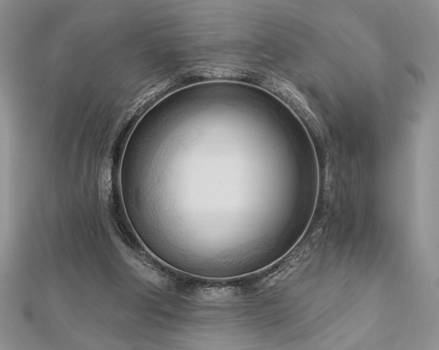 X0000113130202200909041154