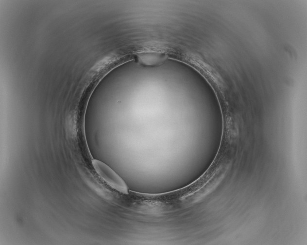 X0000113130203200909041154