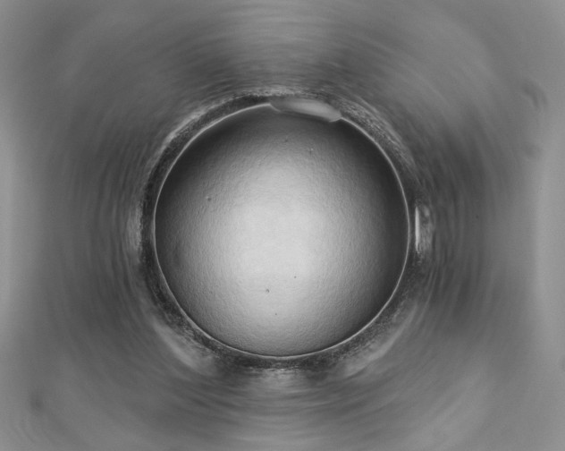 X0000113130204200909041154