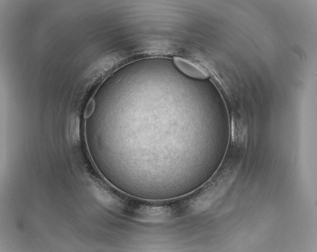 X0000113130205200909041154