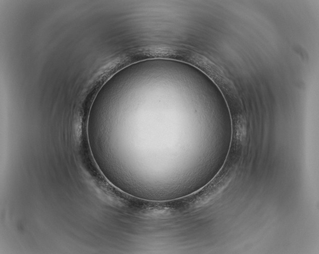 X0000113130206200909041154