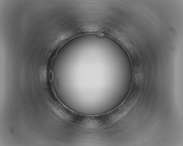 X0000113130207200909041154