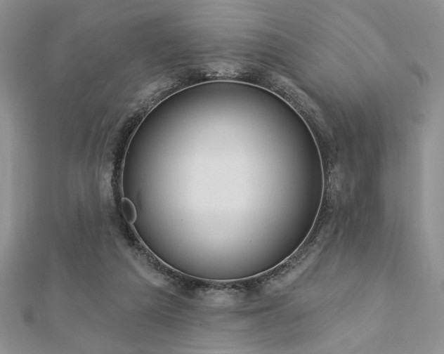 X0000113130209200909041154