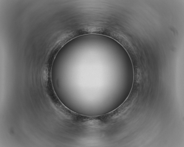 X0000113130210200909041154