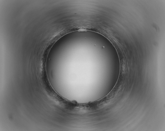X0000113130211200909041154