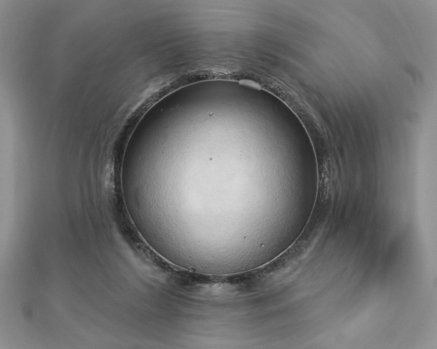 X0000113130212200909041154