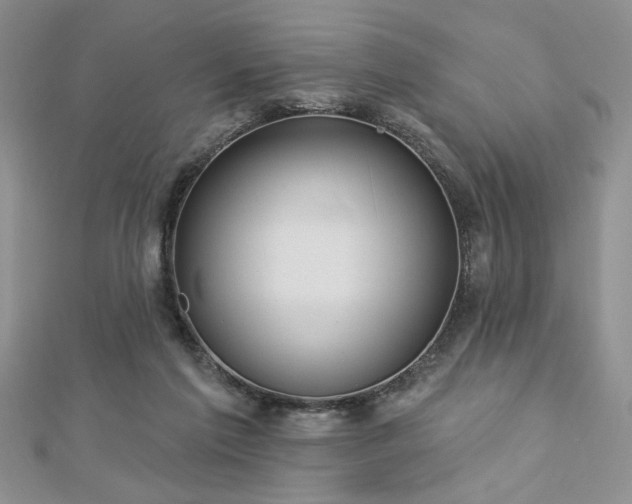 X0000113130213200909041154