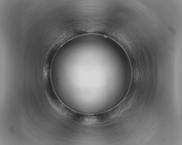 X0000113130214200909041154