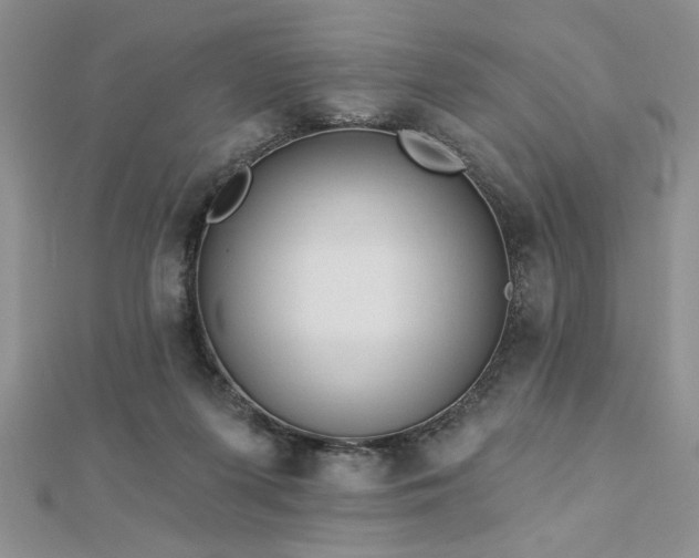 X0000113130215200909041154