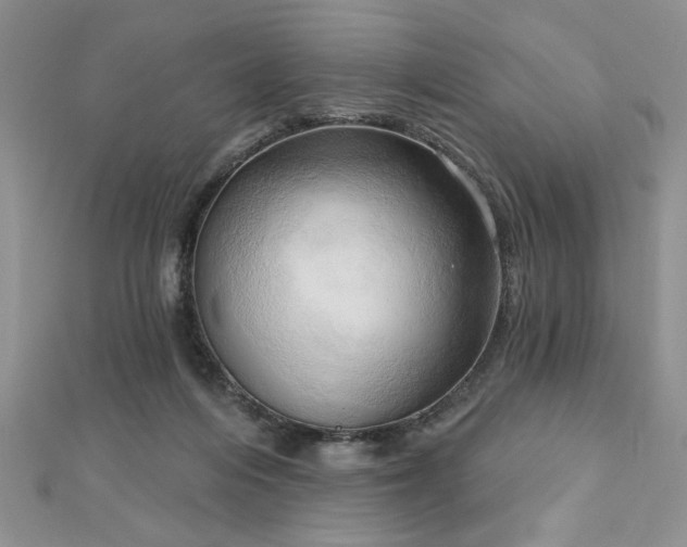 X0000113130216200909041154