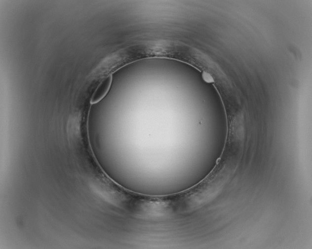X0000113130217200909041154