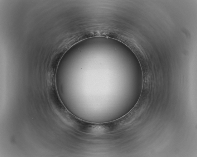 X0000113130218200909041154