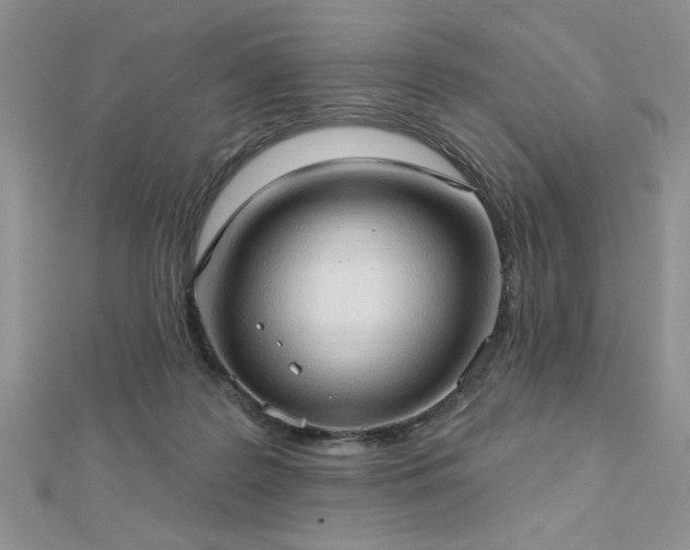 X0000113130219200909041154