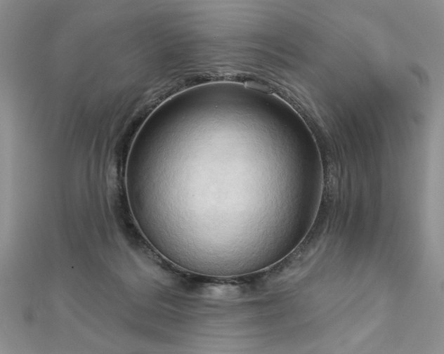X0000113130220200909041154